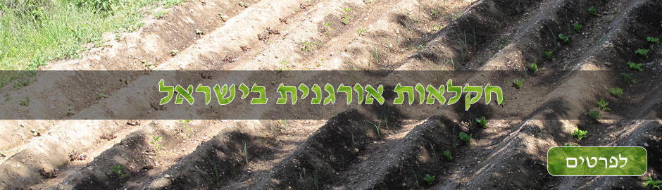 Israeli Organic Farming