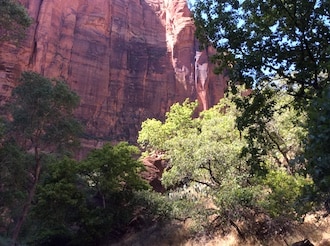 Zion National Park in Utah