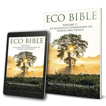 אקו תורה Eco Bible Volume 1 hardback and Kindle cover